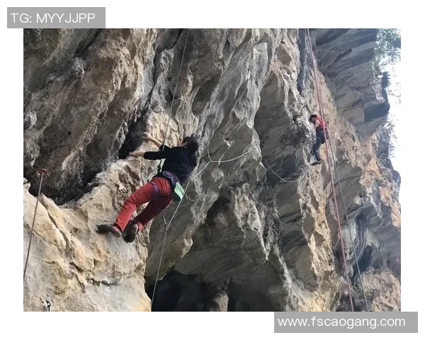 广州攀岩队技术革新引发热议助力攀岩运动新发展