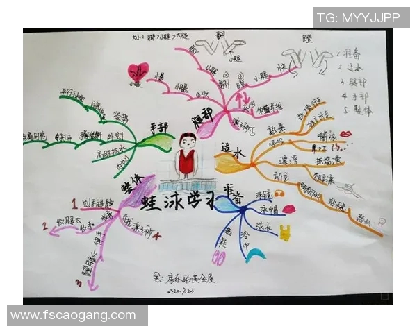 初学者蛙泳技巧入门与常见问题解析助你快速掌握游泳基本功