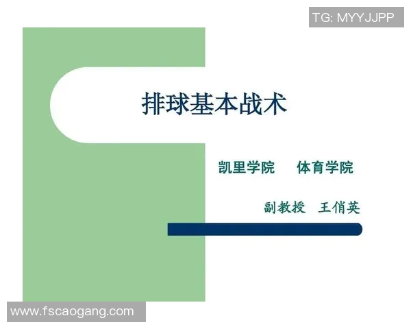 上海排球队总决赛战术解析与表现评估的深度分析