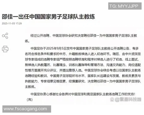 中国足球明星新任教练人选揭晓引发热议谁将成为他们的新领路人